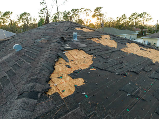 Best Solar Panel Roofing Installation  in Allendale, CA