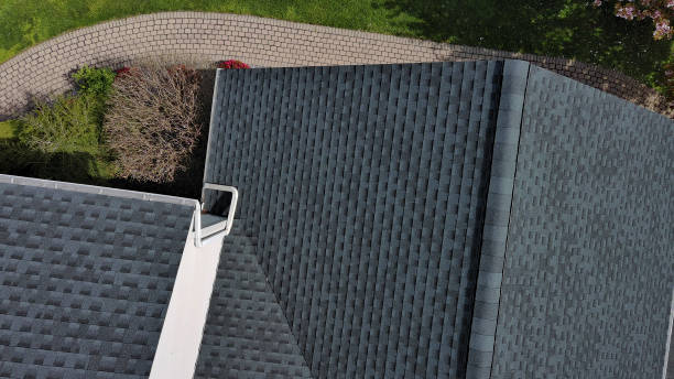 Best Skylights  in Allendale, CA